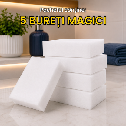 Pachetul CURĂȚENIE GENERALĂ